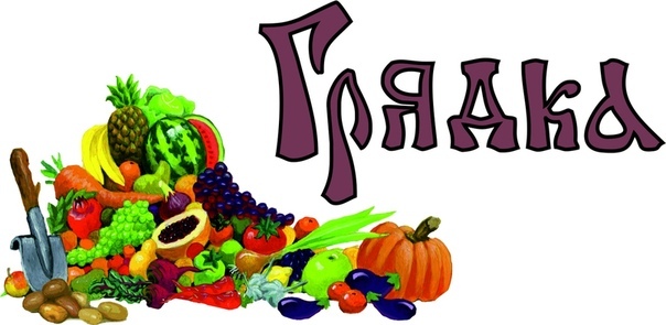 Розничная сеть «Грядка»