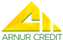 ТОО МФО «Арнур Кредит»  ТОО МФО «Арнур Кредит»